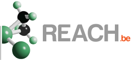 logo_REACH.BE.png